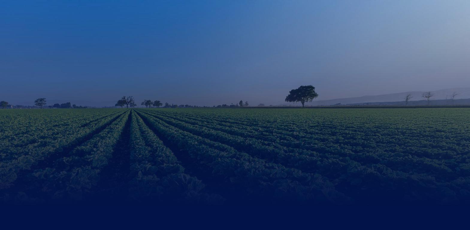 Story Background Image