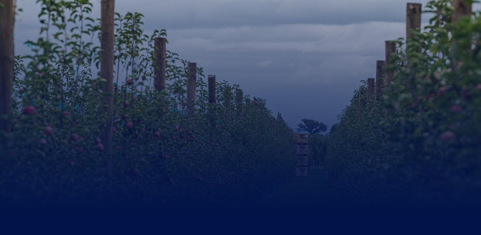 Story Background Image