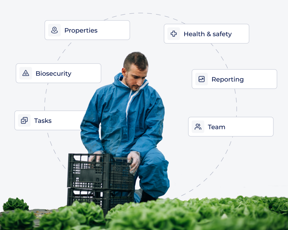 Dropdown Feature Image