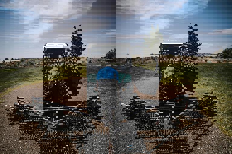 Pexels Jopwell 1325715