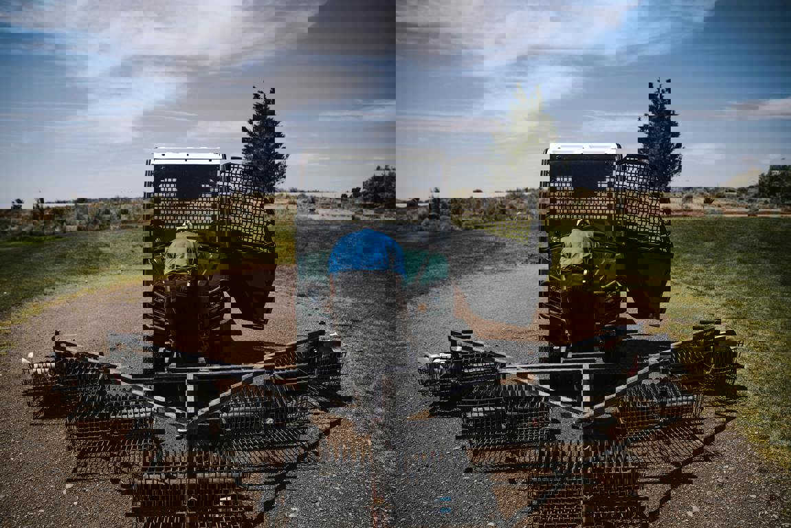 Pexels Jopwell 1325715