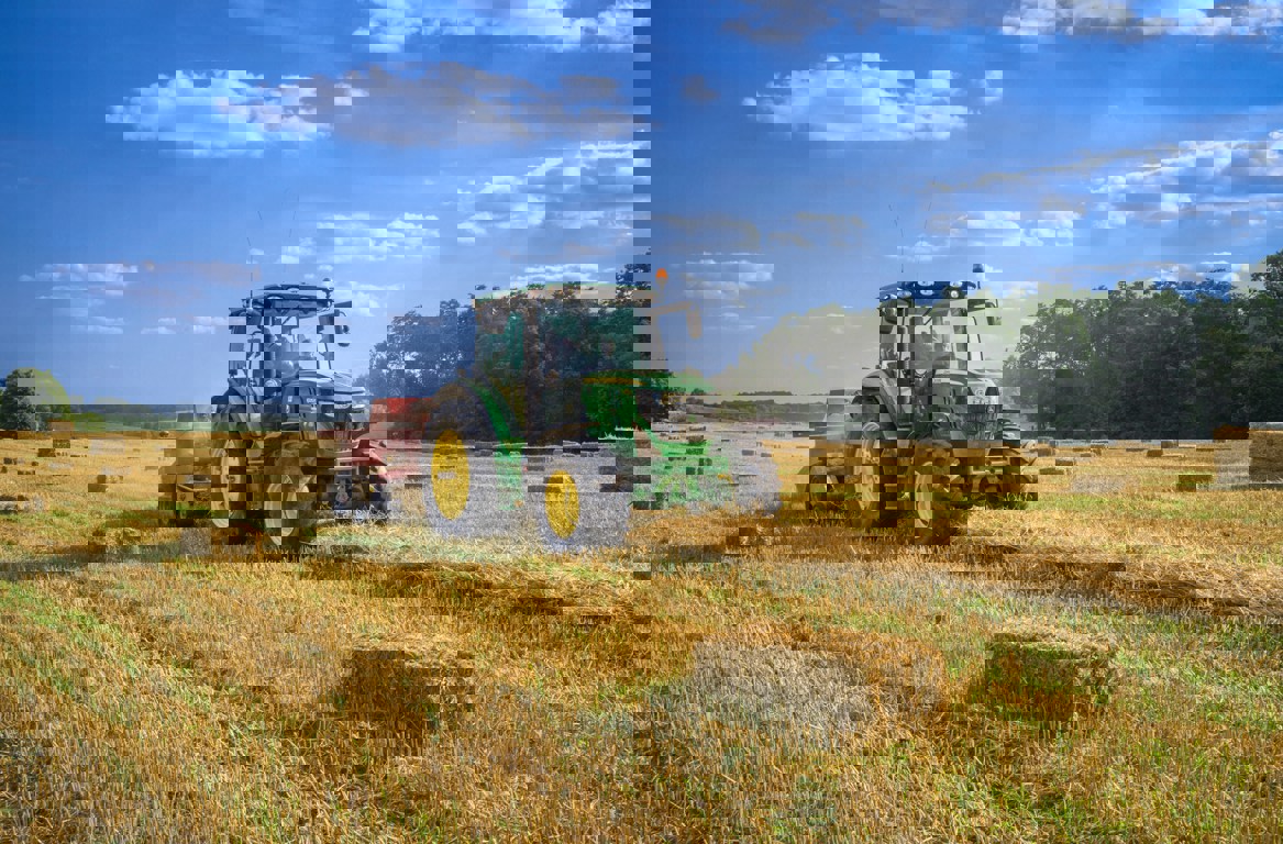 Randy Fath Ddc0vuvh LU Unsplash