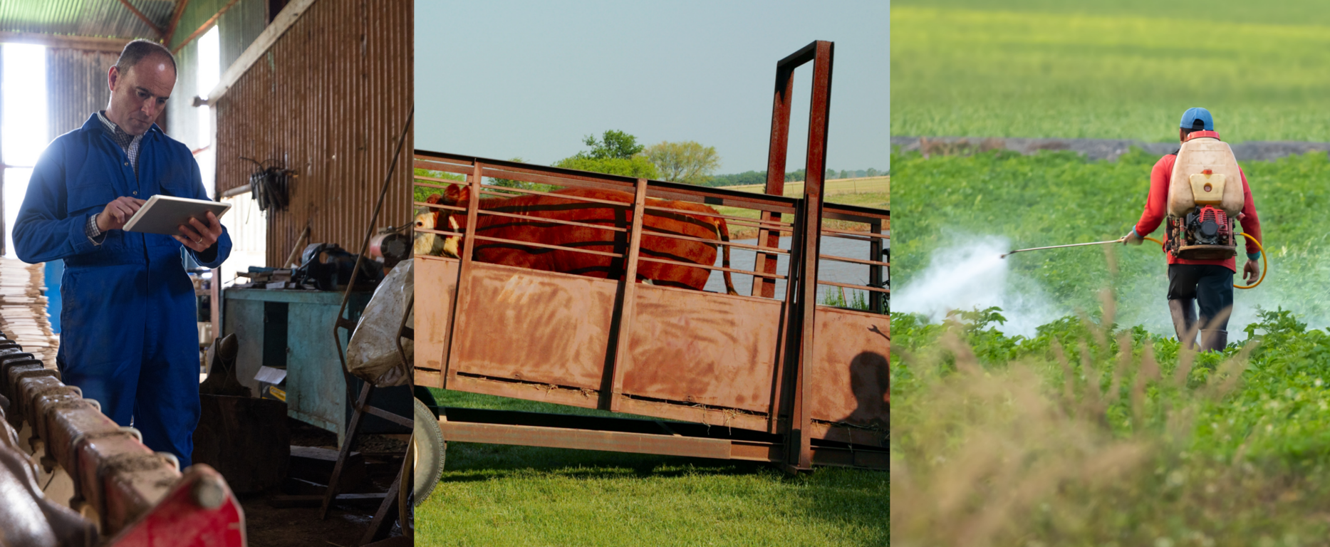 Overlapping Duties Blog Hero