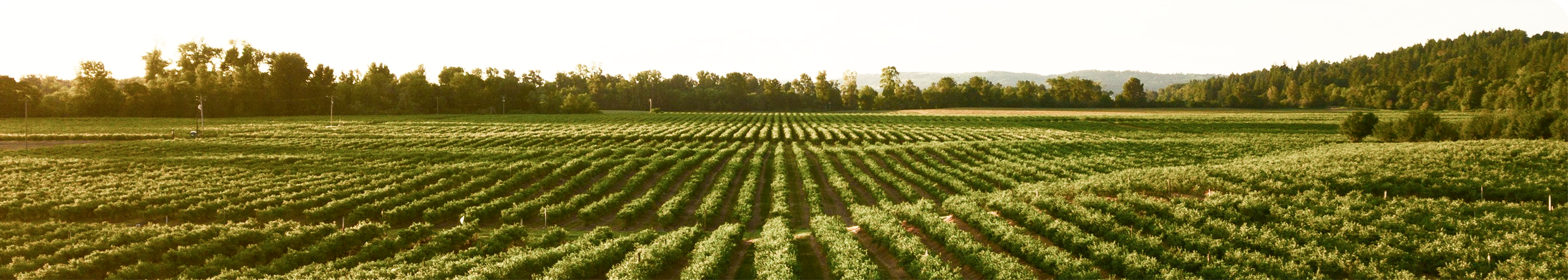 Farm Operations Background