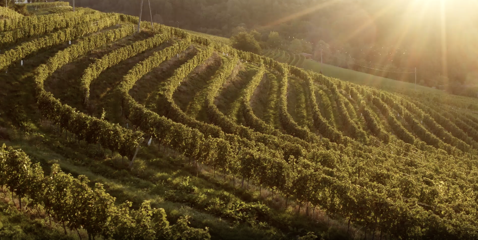 Screenshot 2024 10 14 At 12.12.42 PM