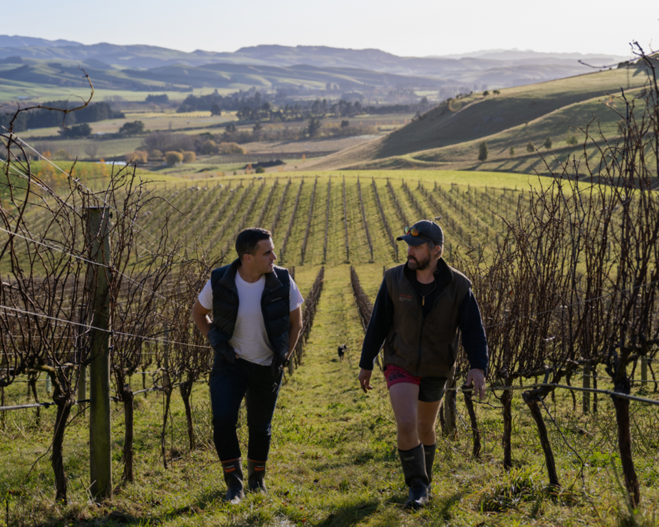 Ryan On Winery Rounded Edge