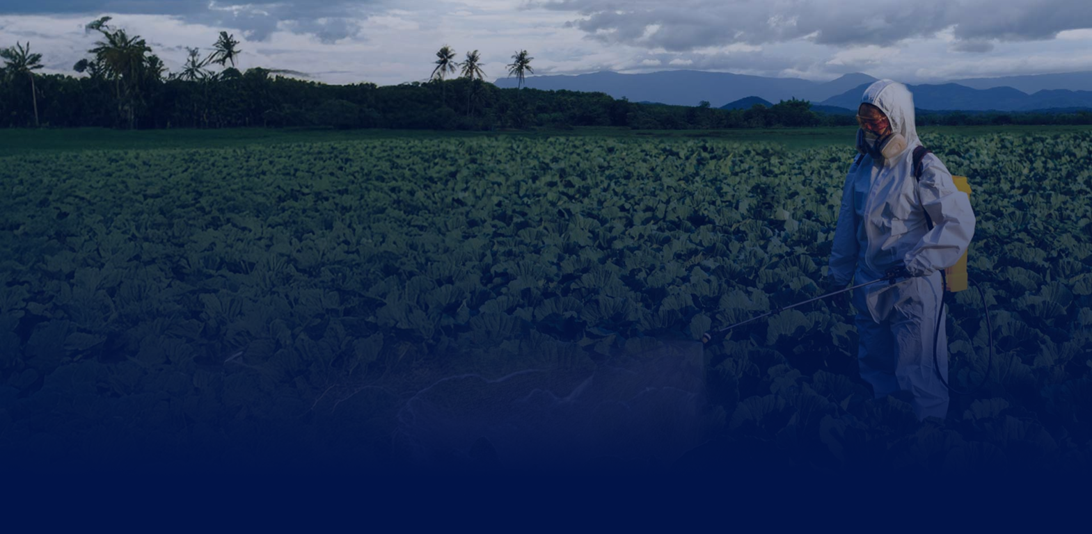 Story Background Image