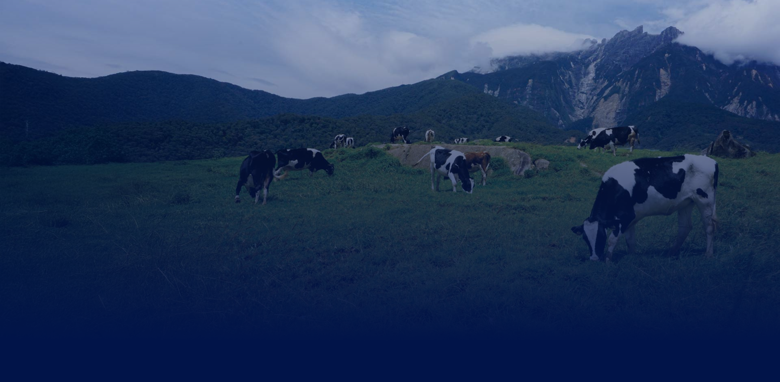 Story Background Image