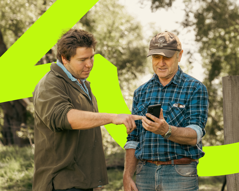 Dropdown Feature Image