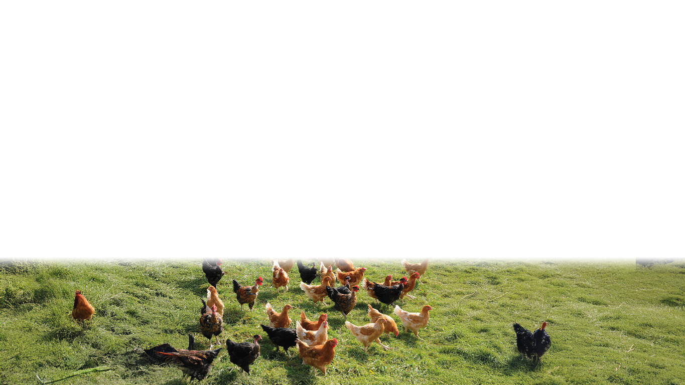 Biosecurity Image Background