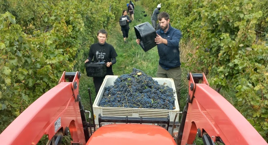 Cargo Road Wines (3)