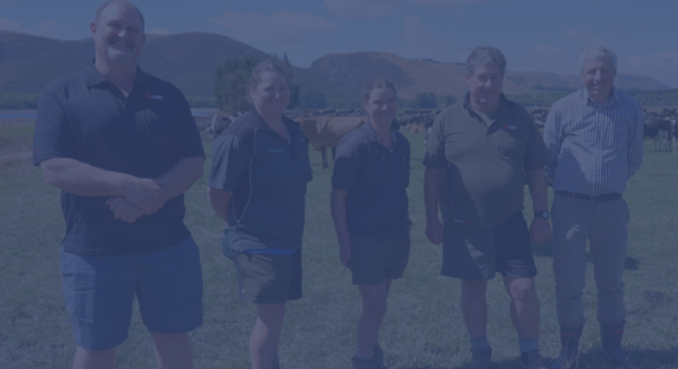 Armer Farms With Gradient